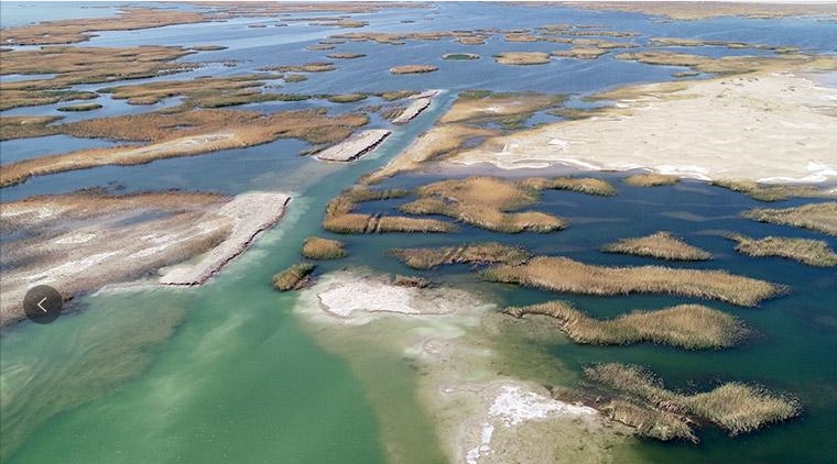 內(nèi)蒙古阿拉善：多彩額濟(jì)納 繽紛迎客來(lái)