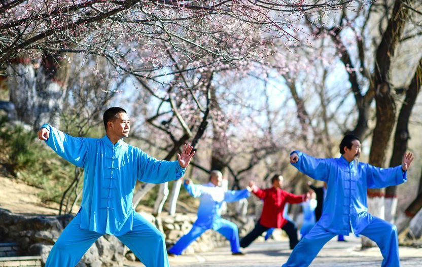 桃花樹下舞太極