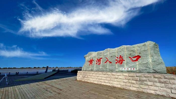 △黃河入?？谖挥谏綎|東營市墾利區(qū)。(總臺央視記者彭漢明拍攝)