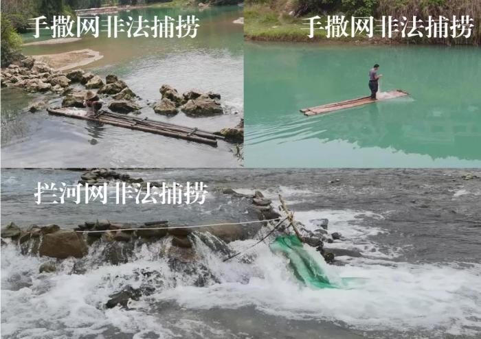 2021年9—10月，前期暗查發(fā)現(xiàn)，保護(hù)區(qū)核心區(qū)內(nèi)非法捕撈行為十分猖獗