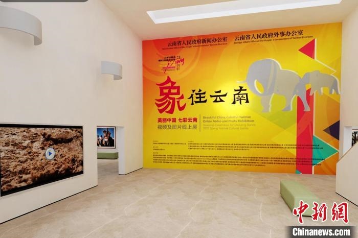圖為“象”往云南——美麗中國 七彩云南視頻及圖片線上展截圖?！『h(yuǎn)航 攝