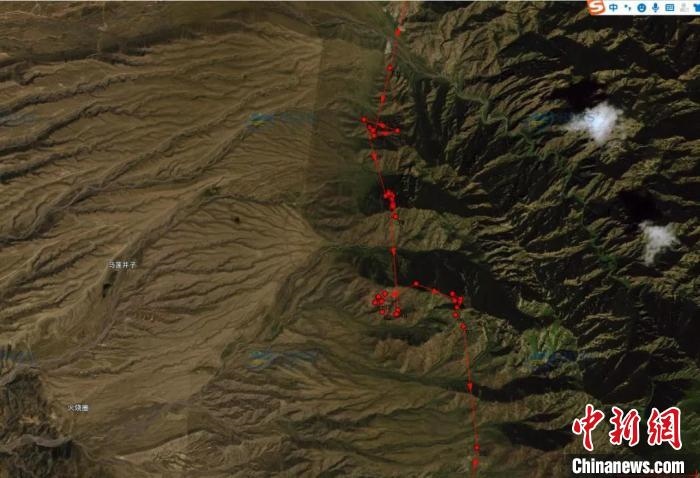 圖為雪豹故地重游來到放歸地的足跡。　內(nèi)蒙古賀蘭山國家級自然保護(hù)區(qū)供圖