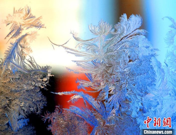 冰窗花千姿百態(tài)?！O書程 攝