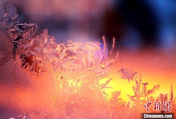 迎著光亮，冰窗花絢麗多姿?！O書程 攝