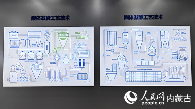 科拓生物工藝技術(shù)展示。人民網(wǎng)記者 張雪冬攝