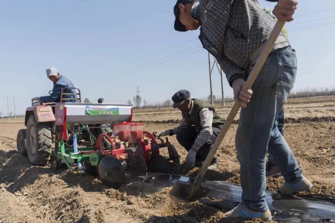 1588238313152596.jpg 微信圖片_20200430171811.jpg