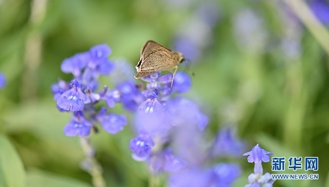 1662607584125175.jpg 00300584742_de69c822.jpg