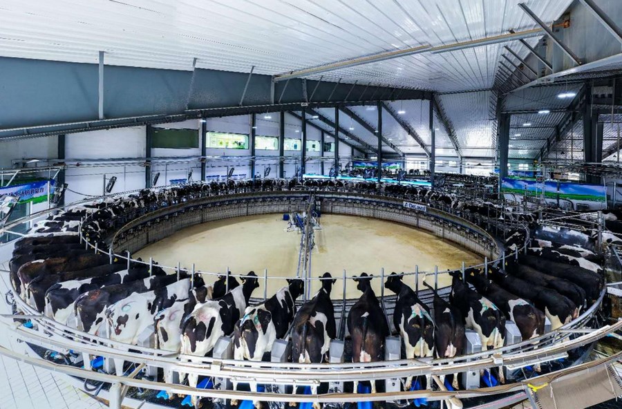 1719416992152891.png 圖片2.png