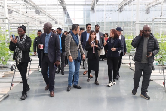 1727084999939168.png 北京大學(xué)“東方獎學(xué)金”學(xué)員參訪團(tuán)在鄂爾多斯為“東方友誼林”種下新樹苗189.png