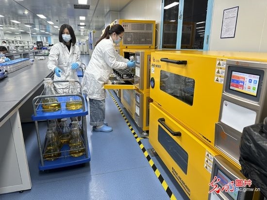 【高質(zhì)量發(fā)展看中國】基因遞送排頭兵 可實現(xiàn)“個性化”定制