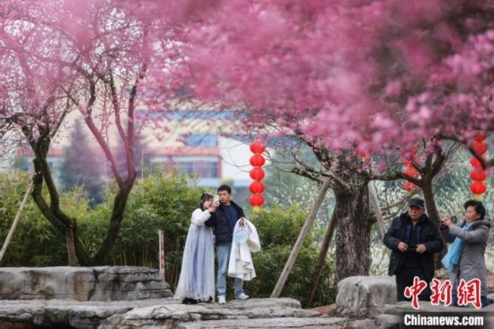 2月23日，市民在乾藝梅園景區(qū)觀賞綻放的梅花。瞿宏倫 攝