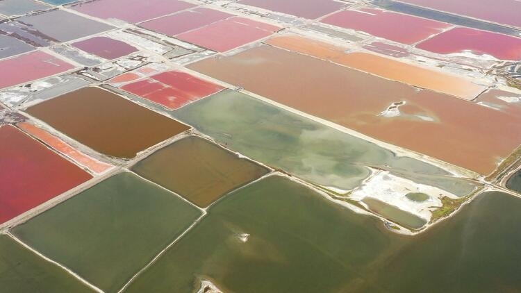 鑒往知來，跟著總書記學(xué)歷史丨走進一座博物館，尋根五千年中華文明