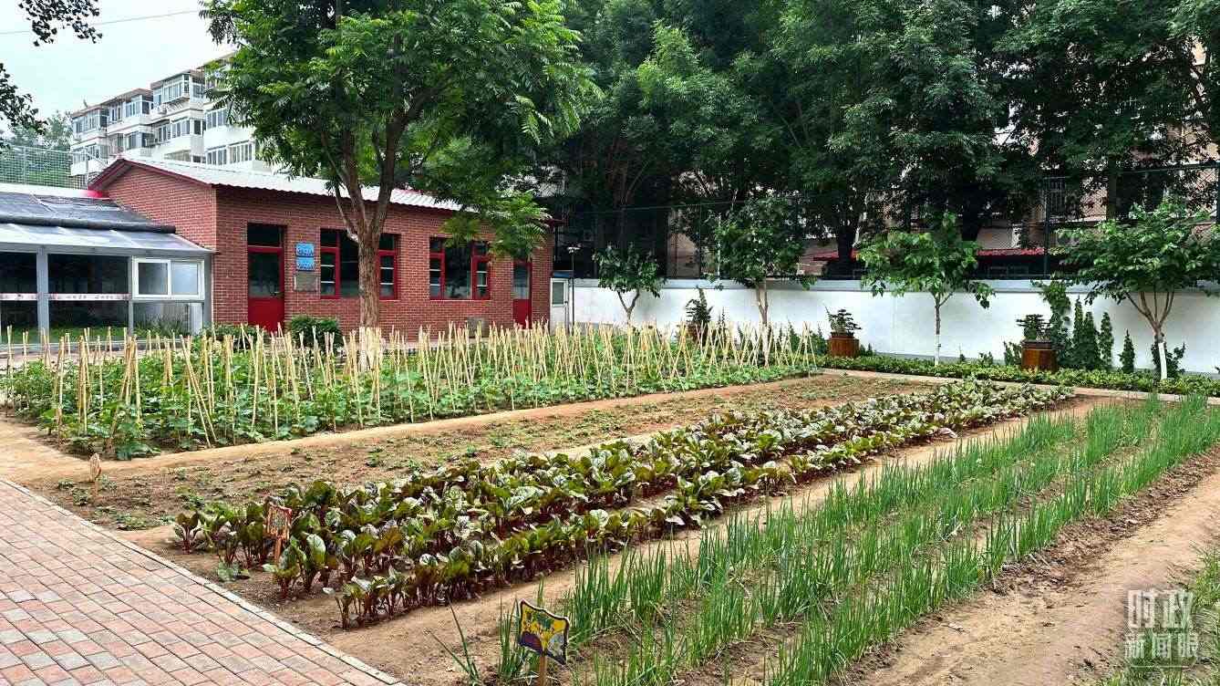 △學(xué)生農(nóng)場(chǎng)。（總臺(tái)央視記者趙化拍攝）