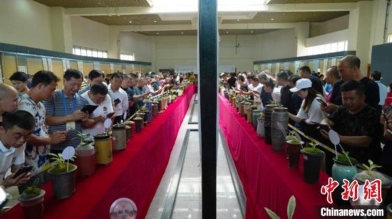 圖為活動現(xiàn)場。 云南省委臺辦供圖