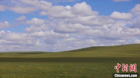 圖為點(diǎn)點(diǎn)新綠在原野上蓄勢(shì)待發(fā)。 歐戈 攝