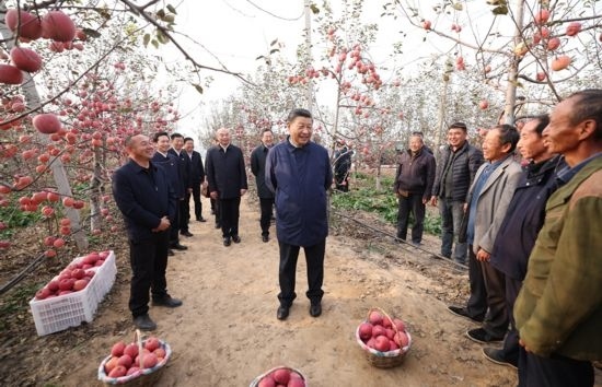 2022年10月26日，習(xí)近平總書記在陜西省延安市安塞區(qū)高橋鎮(zhèn)南溝村蘋果園同老鄉(xiāng)們親切交流。