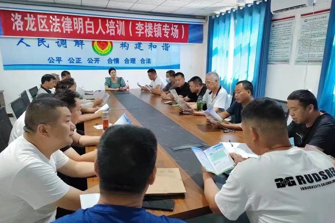 河南省洛陽市洛龍區(qū)李樓司法所開展《民法典》專題普法講座暨“法律明白人”培訓(xùn)。河南省司法廳供圖
