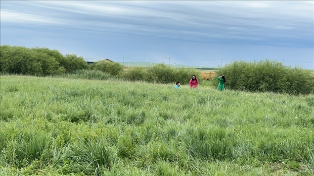 圖為游客在草原上拍照游玩。人民網(wǎng)記者 金洪花攝