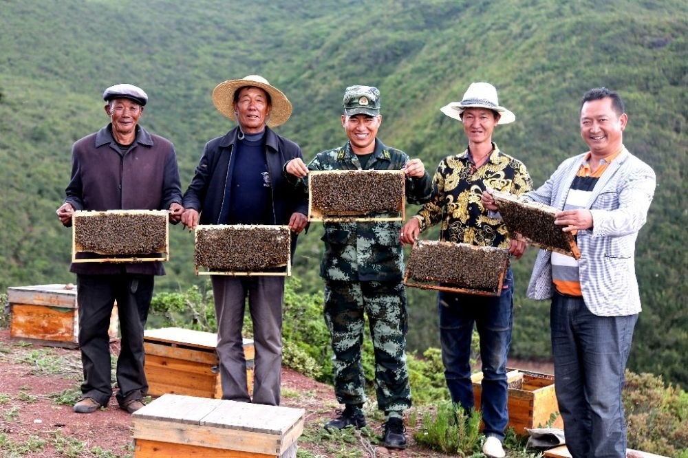 ↑武警四川總隊(duì)涼山支隊(duì)精準(zhǔn)幫扶昭覺(jué)縣梭梭拉打村發(fā)展養(yǎng)蜂產(chǎn)業(yè)，總隊(duì)駐村扶貧干部布哈（中）和村民一同展示豐收成果（2019年6月12日攝）。新華社發(fā)（楊劍 攝）