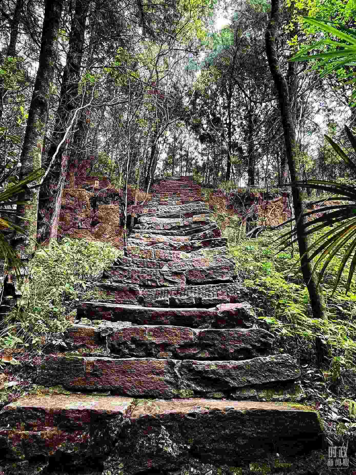 △古蜀道。（總臺央視記者郭曉龍拍攝）