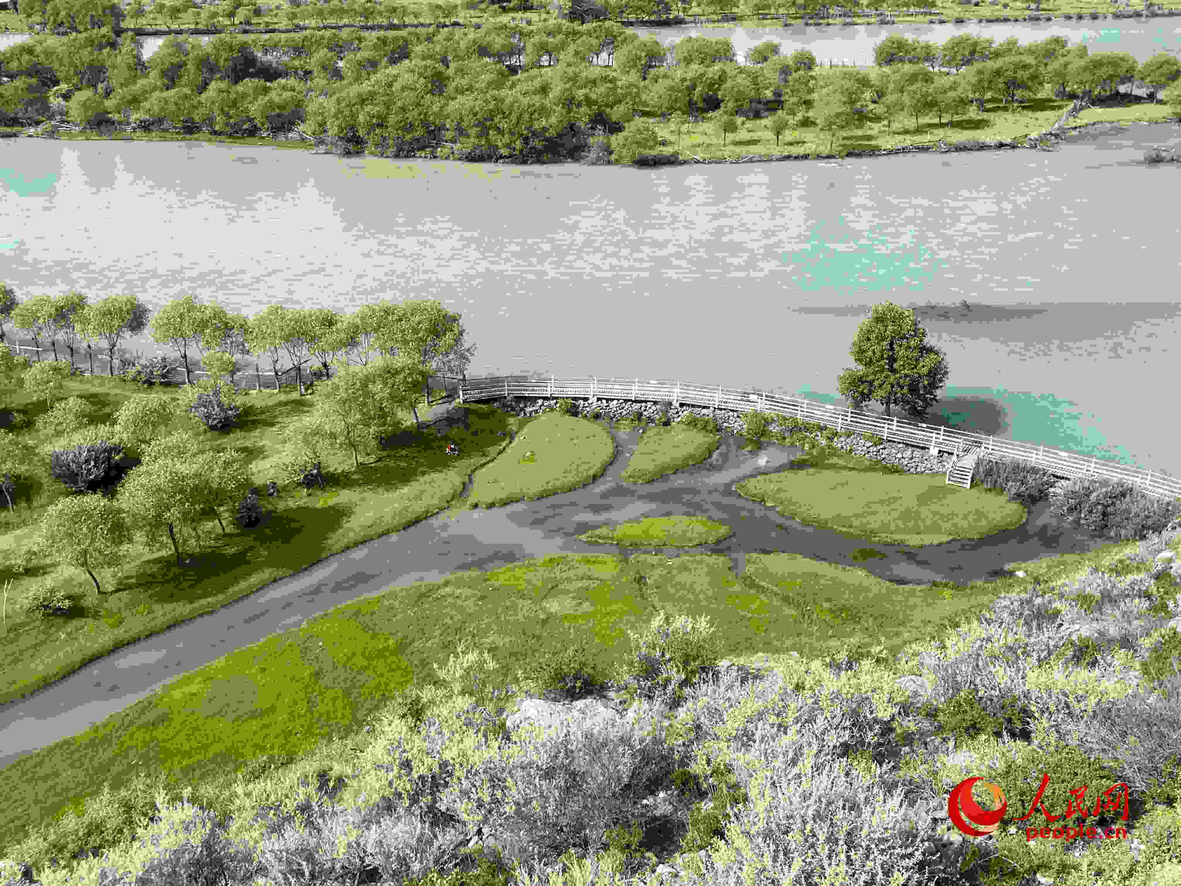 夏日的雅尼國家濕地公園生機盎然，如詩如畫。人民網(wǎng) 周靜圓攝