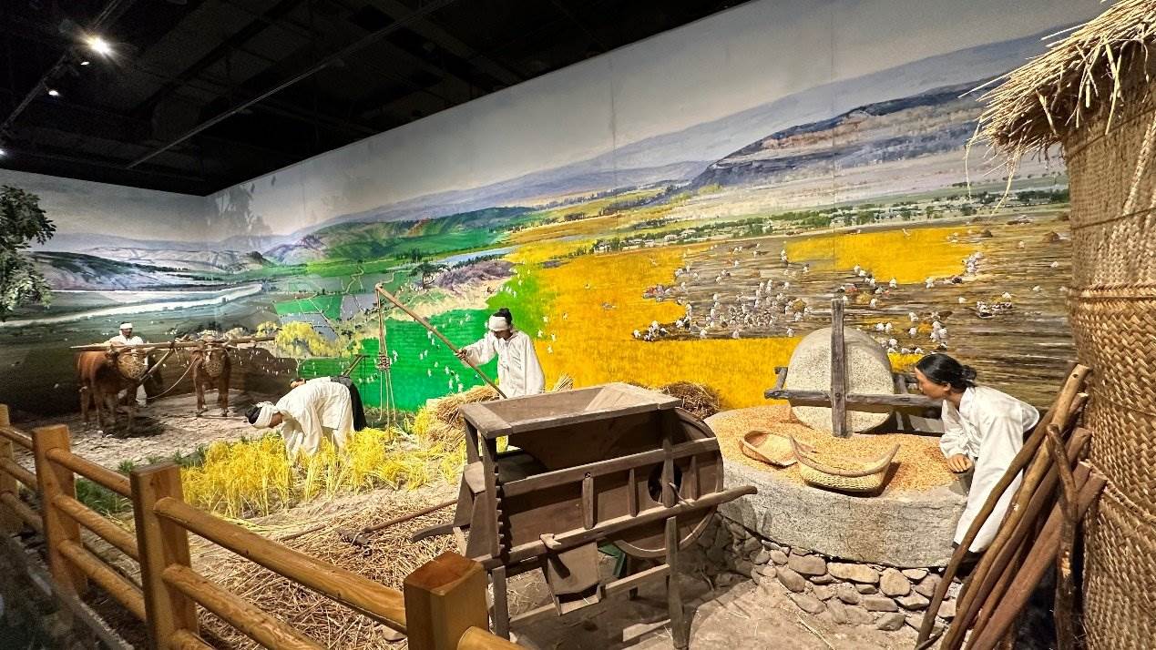 《朝鮮族民俗陳列》展廳。人民網(wǎng)記者 金洪花攝