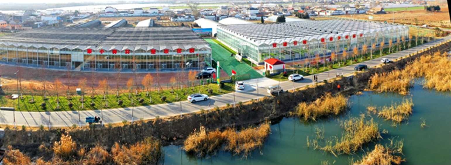 白樓灣三產(chǎn)融合發(fā)展。宋道森攝