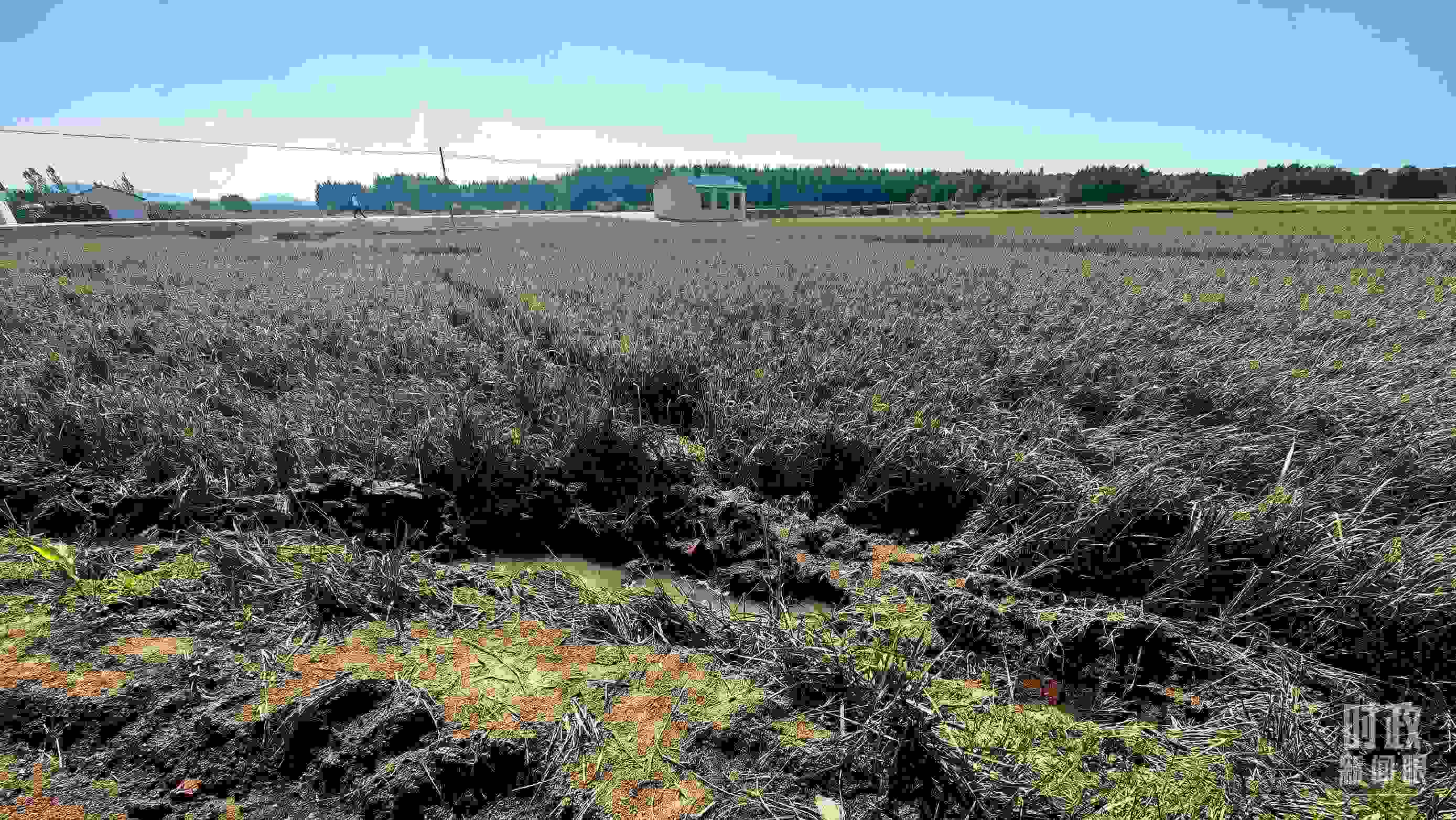 △圖為龍王廟村在洪災(zāi)中受損的農(nóng)田。（總臺(tái)央視記者史偉拍攝）