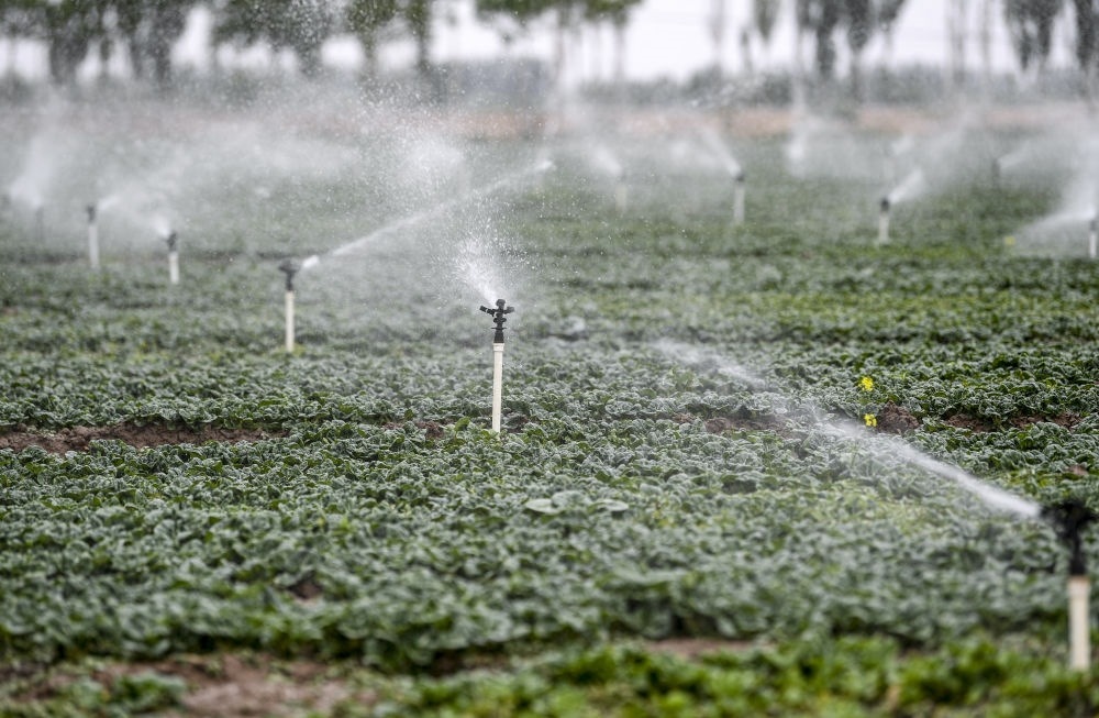 2023年5月25日，在寧夏銀川市永寧縣望洪鎮(zhèn)宋澄村冷涼蔬菜種植基地，小型噴灌節(jié)水設(shè)備在進行噴灌作業(yè)。新華社記者 馮開華 攝