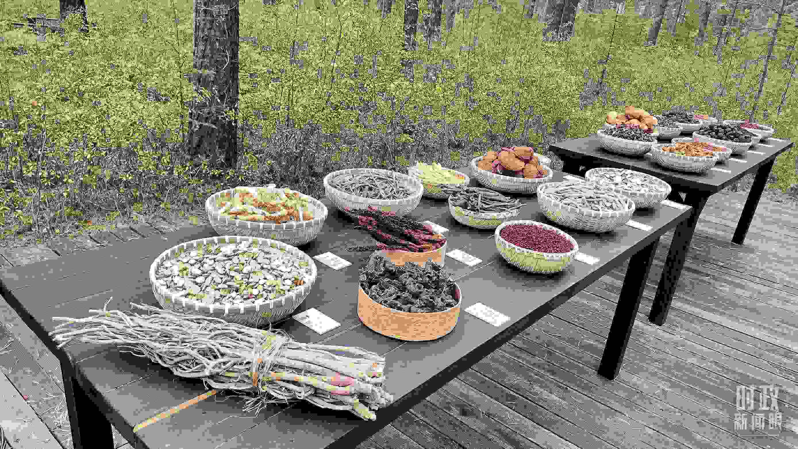 △林場(chǎng)里的食用菌、林果等特產(chǎn)。（總臺(tái)央視記者楊立峰拍攝）