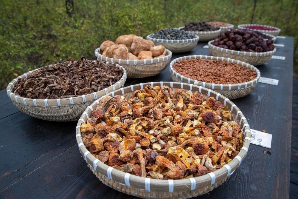 △近日，漠河市北極村一景區(qū)展示的林下產(chǎn)品。