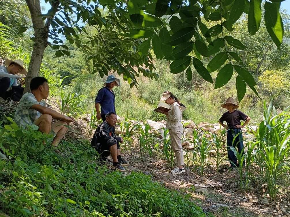 2023年7月18日，兩家村民發(fā)生土地方面的糾紛，李江女（右二）在記錄情況。受訪者供圖