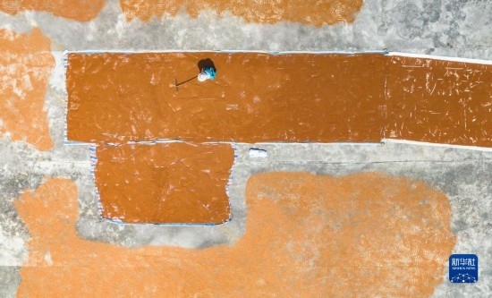 9月16日，農(nóng)民在貴州省安順市西秀區(qū)大西橋鎮(zhèn)吉昌村晾曬高粱（無人機照片）。