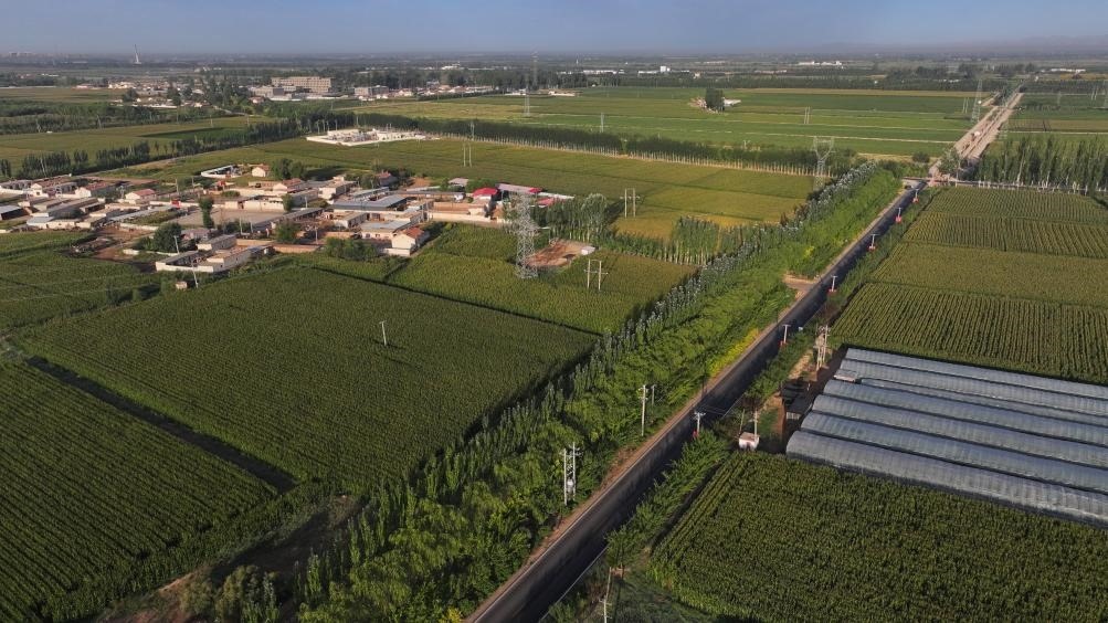 東興村周邊建起防護林網(wǎng)（無人機照片，2023年9月12日攝）。新華社記者李云平 攝