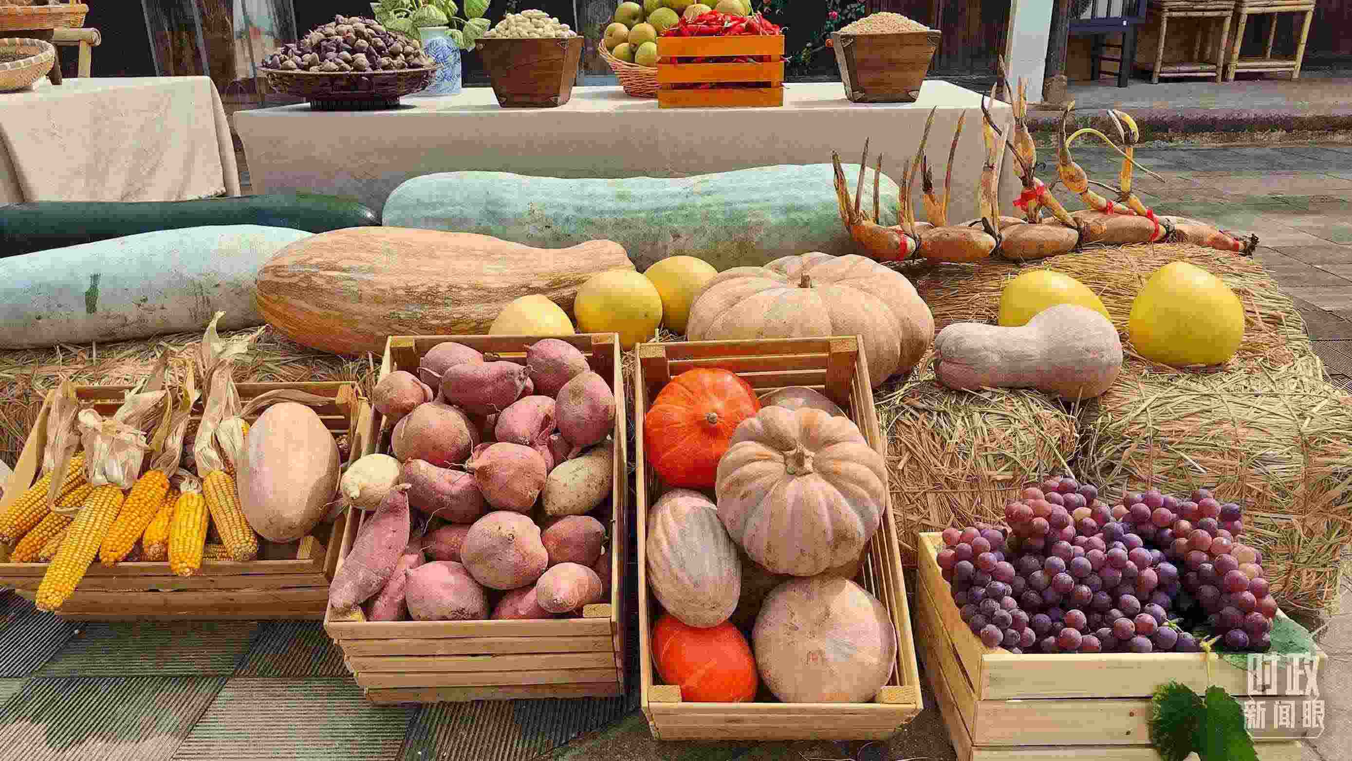 △村廣場“共富市集”，擺放著種類豐富的特色農(nóng)產(chǎn)品。（總臺央視記者楊立峰拍攝）