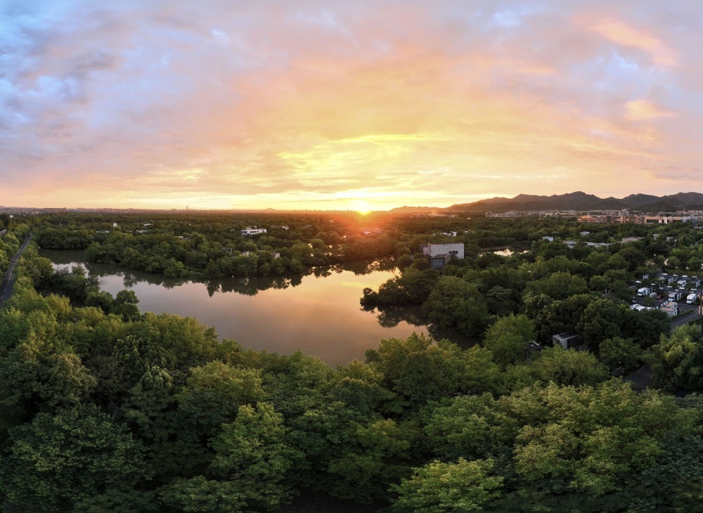 杭州西溪濕地日出景觀。