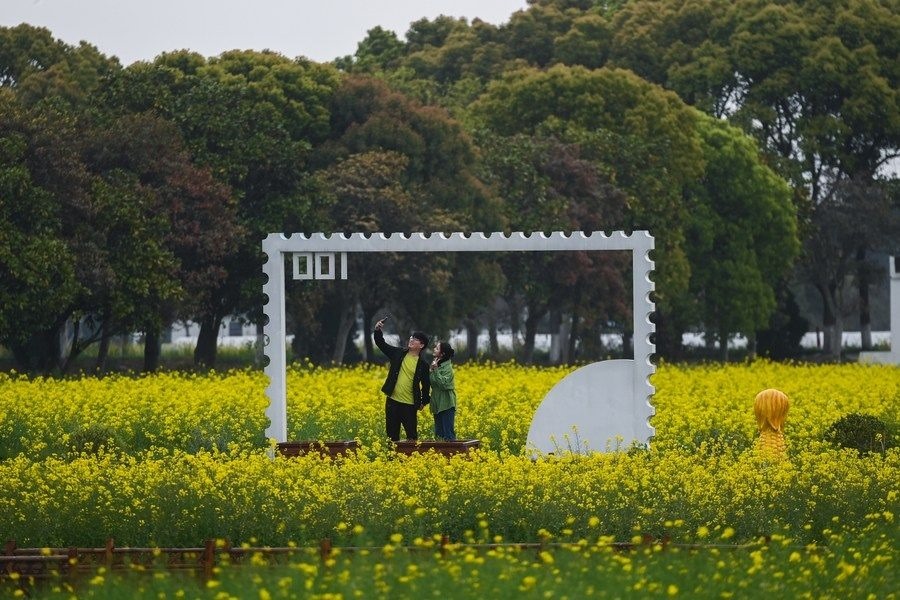  游客在浙江嘉興市秀洲區(qū)王店鎮(zhèn)鎮(zhèn)中村的“青青樂地”農(nóng)耕文化園內(nèi)游玩（2023年4月3日攝）。