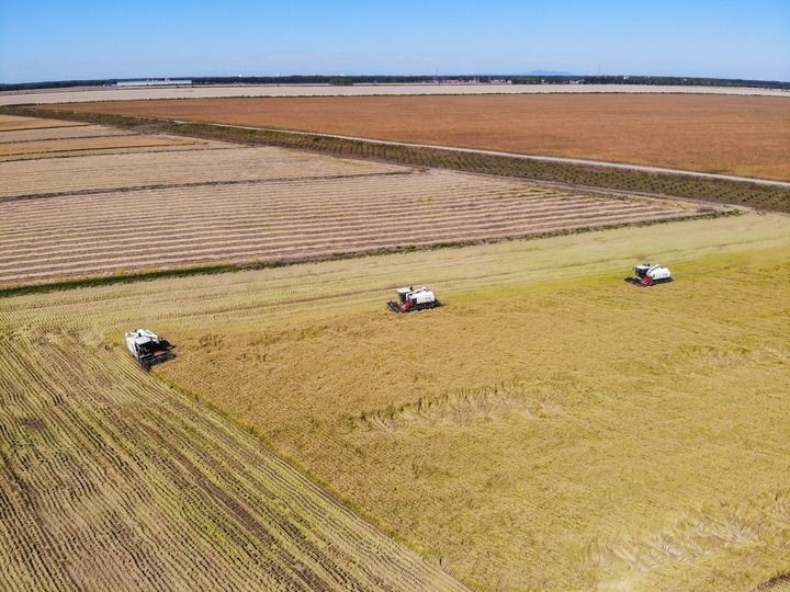 這是在位于黑龍江雙鴨山市友誼縣的北大荒農(nóng)業(yè)股份有限公司友誼分公司一地塊拍攝的水稻收獲現(xiàn)場(chǎng)（2023年9月21日攝，無(wú)人機(jī)照片）。新華社記者 王松 攝