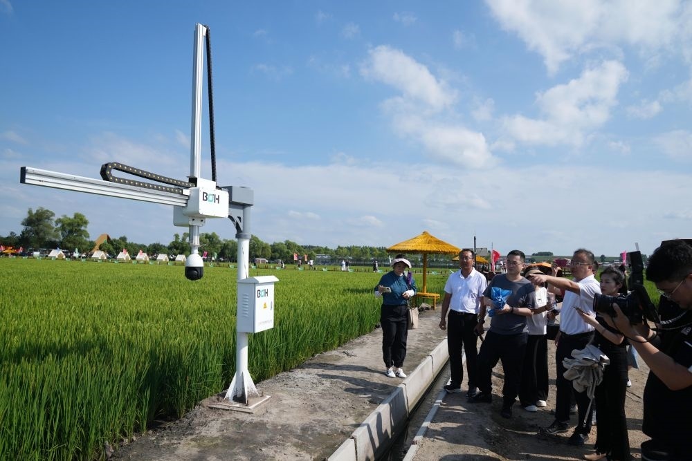 在北大荒集團(tuán)閆家崗農(nóng)場(chǎng)有限公司農(nóng)業(yè)現(xiàn)代化示范區(qū)，工作人員在介紹利用數(shù)字技術(shù)的葉齡診斷儀（2023年8月10日攝）。新華社記者 王建威 攝