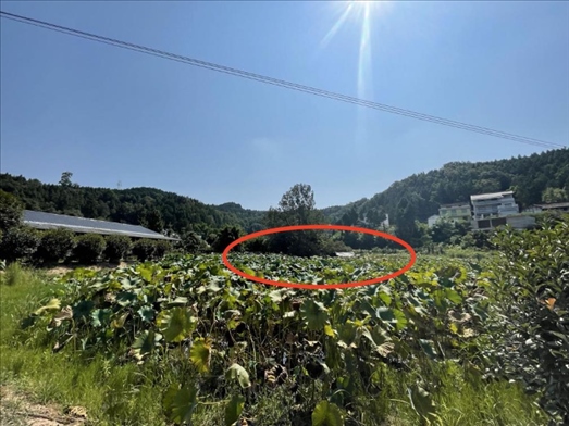 曾經(jīng)的圣水園所在地。 人民網(wǎng)記者 楊喬攝