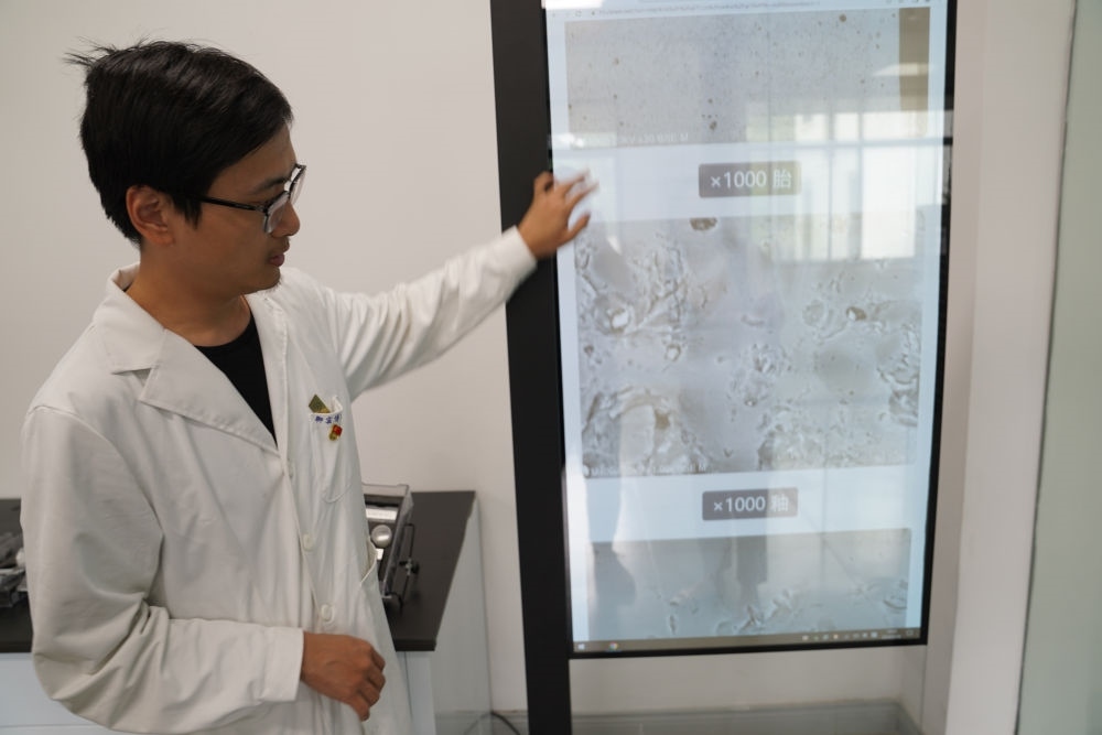 ↑ 工作人員展示瓷片標(biāo)本的配方研究數(shù)據(jù)（2023年5月16日攝）。