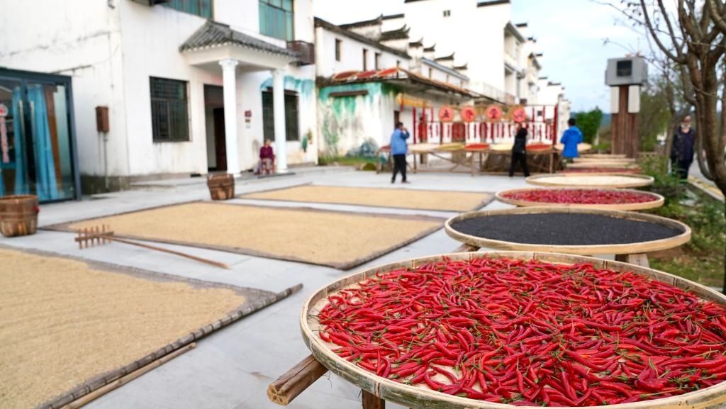 近日拍攝的江西省上饒市婺源縣秋口鎮(zhèn)王村石門自然村。新華社記者 胡晨歡 攝