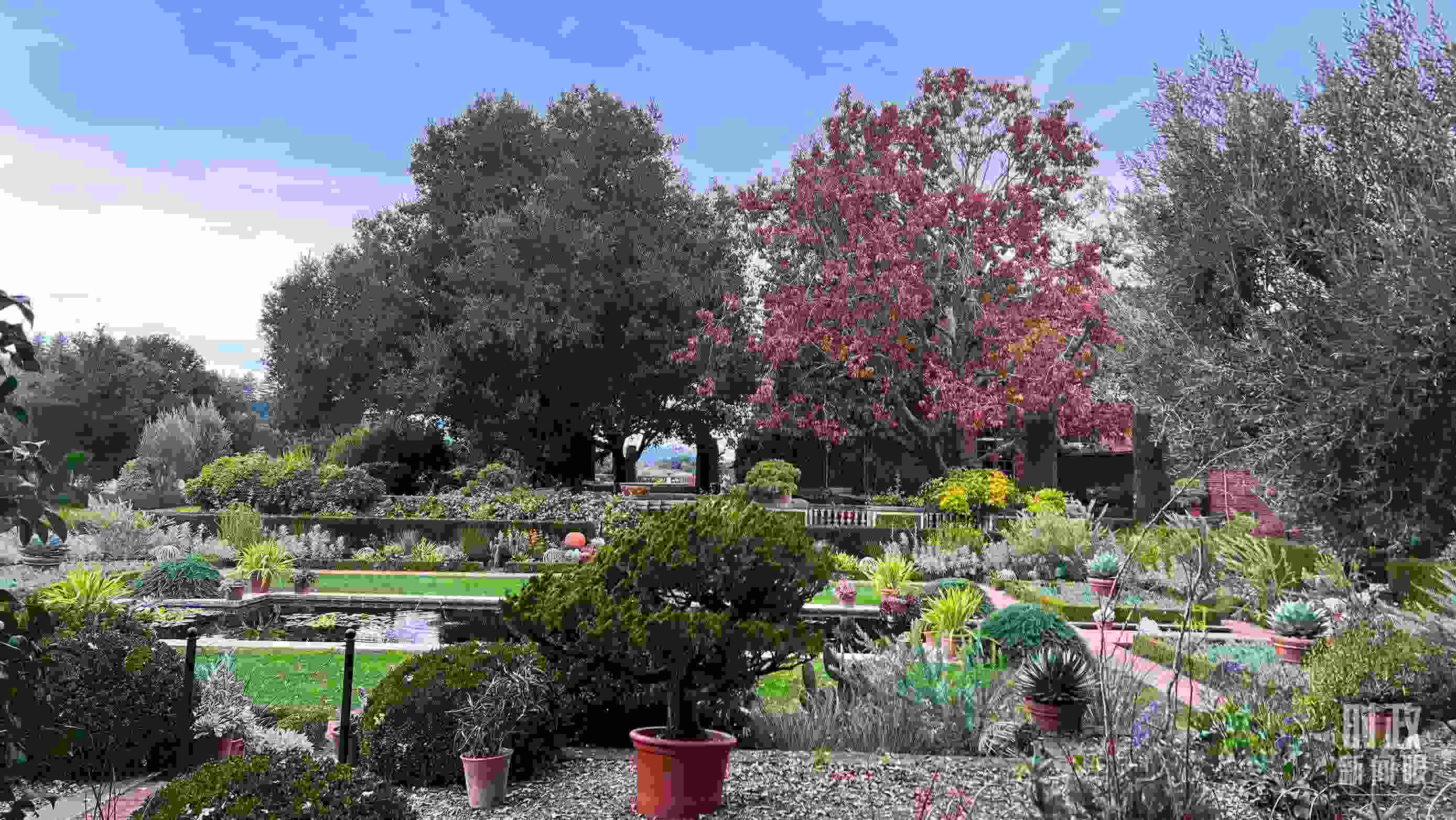 斐洛里莊園被稱作美國20世紀現(xiàn)存最精美鄉(xiāng)村莊園之一。（總臺央視記者程鋮拍攝）