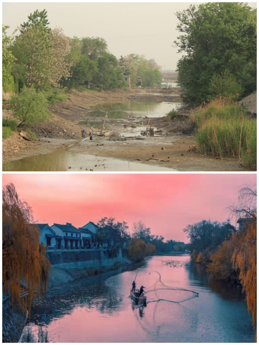 江蘇省揚(yáng)州市江都區(qū)明清運(yùn)河故道整治前后。（上圖：2012年；下圖：2020年）（孫友定 攝）