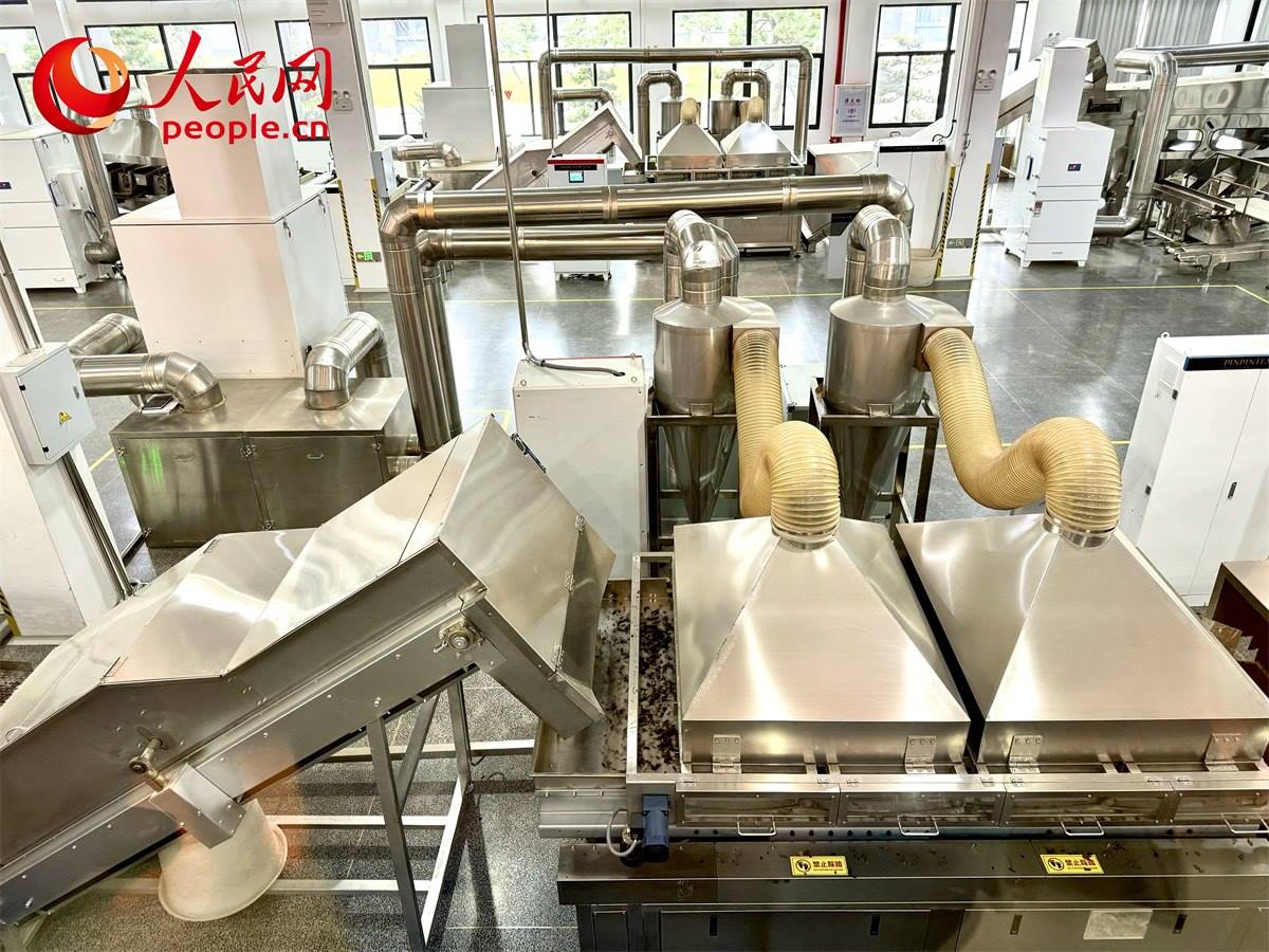 品品香白茶精制自動化生產廠房。人民網記者 劉微攝