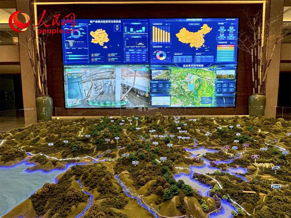 品品香白茶產業(yè)園信息中心數(shù)智化大屏。人民網記者 劉微攝