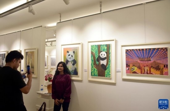11月22日，在孟加拉國達卡，人們在“國家印象”繪畫展上參觀拍照。新華社發(fā)（薩利姆攝）