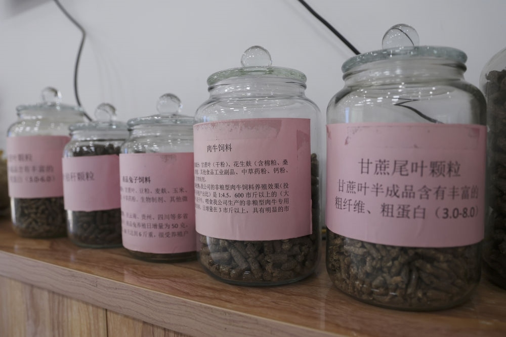 這是12月13日在來賓市興賓區(qū)小平陽鎮(zhèn)一家飼料廠拍攝的以甘蔗尾葉為原料制成的飼料。