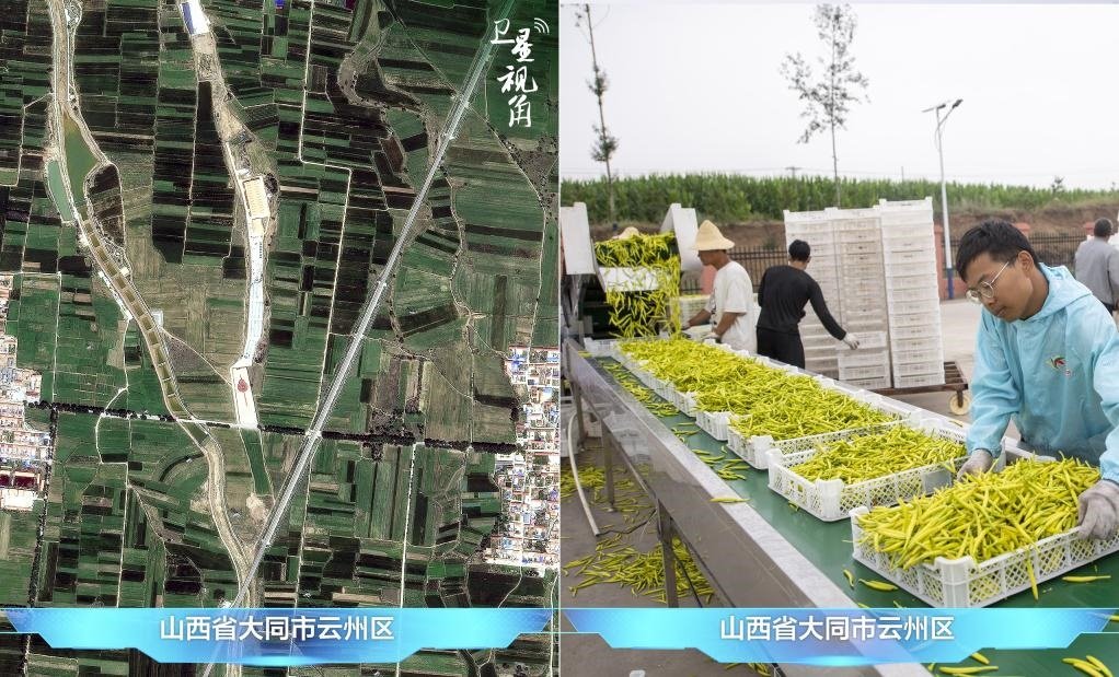 當前，大同市開發(fā)黃花菜品、食品、飲品、功能食品、化妝品、文創(chuàng)產品六大系列130余種，全產業(yè)鏈產值超40億元。