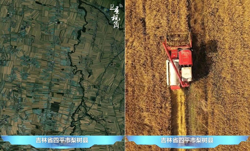 隨著現代化農機普及應用，保護性耕作“梨樹模式”得以大面積推廣，不僅使黑土地保護與利用持續(xù)深入，更為糧食作物高產穩(wěn)產助力。